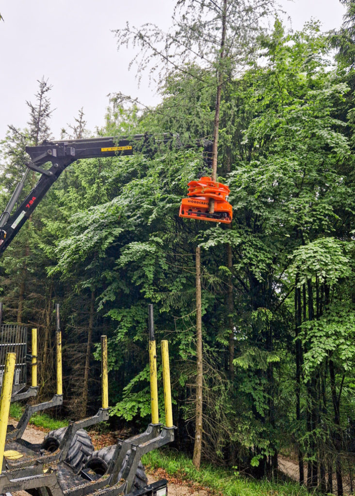 A také možnost odstranění částí kmene stromu ve vertikální poloze nakonec přesvědčila pana Hemetsbergera.