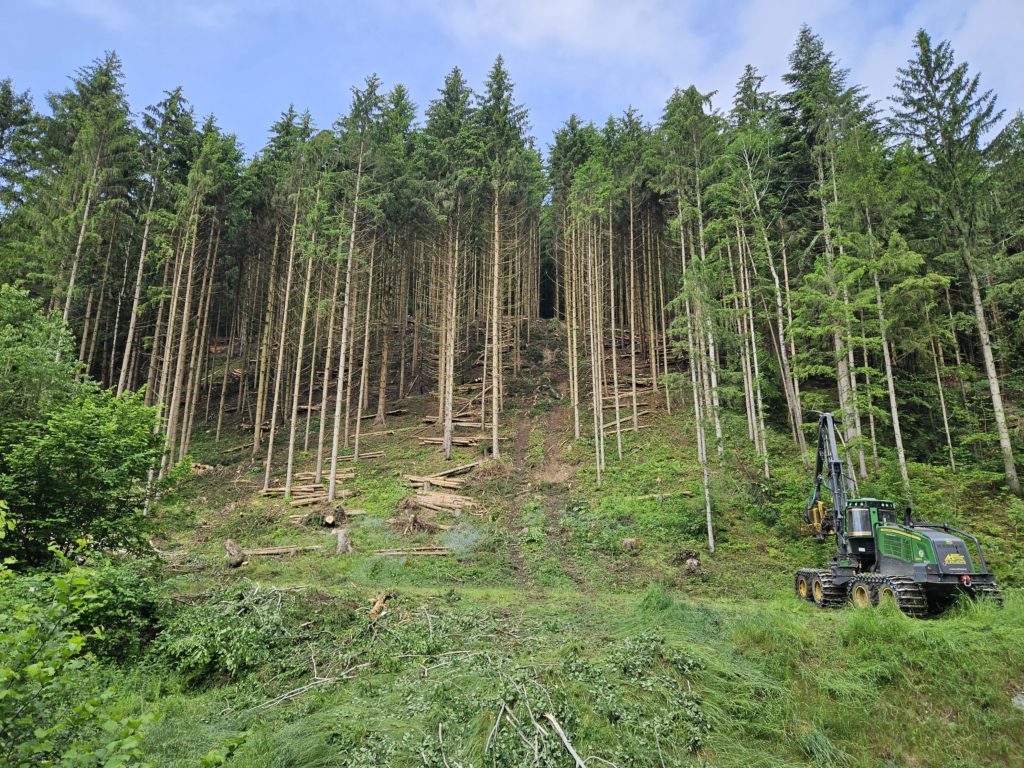 Pneumatiky pro lesní stroje musí být odolné, stabilní a schopné bezpečně a efektivně zvládnout strmé svahy. 