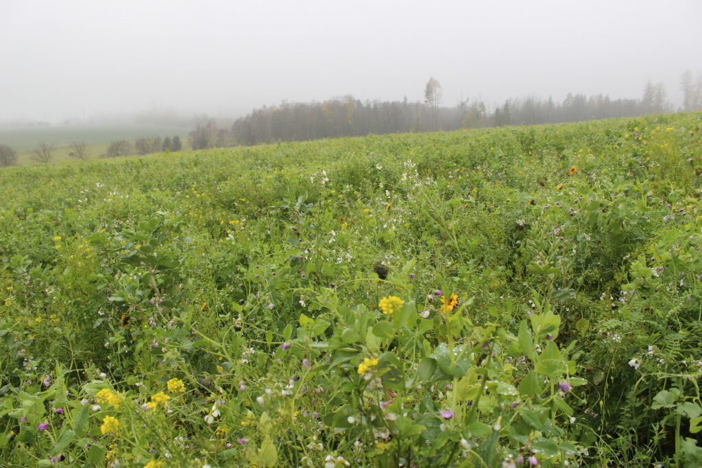 MyEasyFarm okamžitou dostupnost MyEasyBiomass – nového provozního modulu, podporujícího uhlíkové projekty, regenerativní zemědělství a iniciativy v oblasti biomasy.