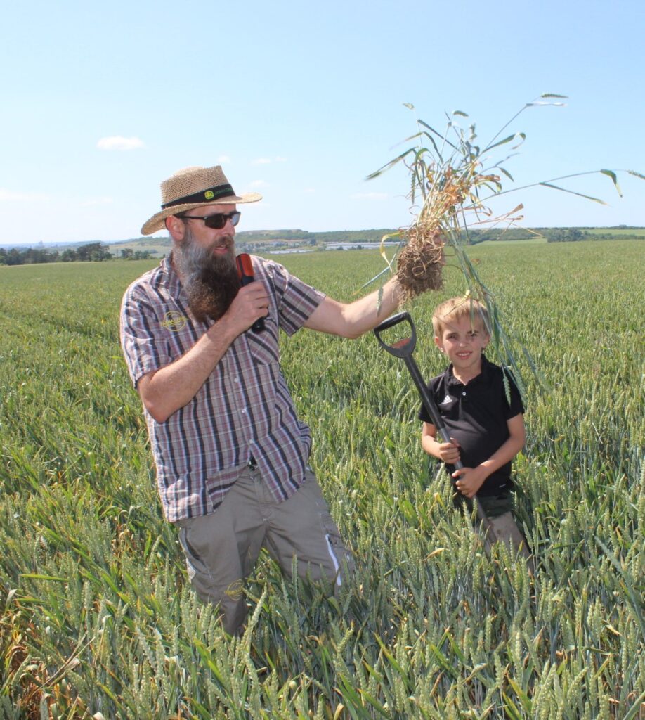 Vojtěch Švarc popisuje kořenový systém rostlin pšenice z porostu založeného do dvouřádku technologií Strip-till